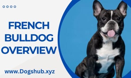 French Bulldog Overview