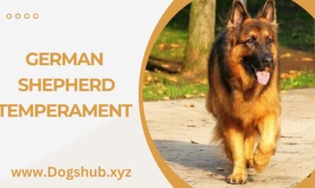 German Shepherd Temperament