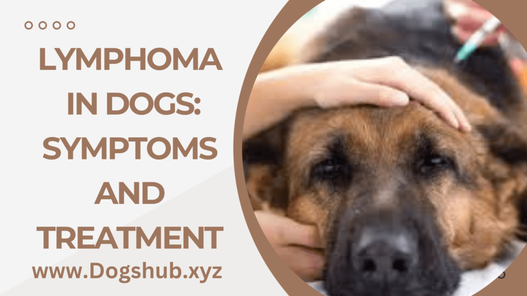 Lymphoma in Dogs: Symptoms and Treatment