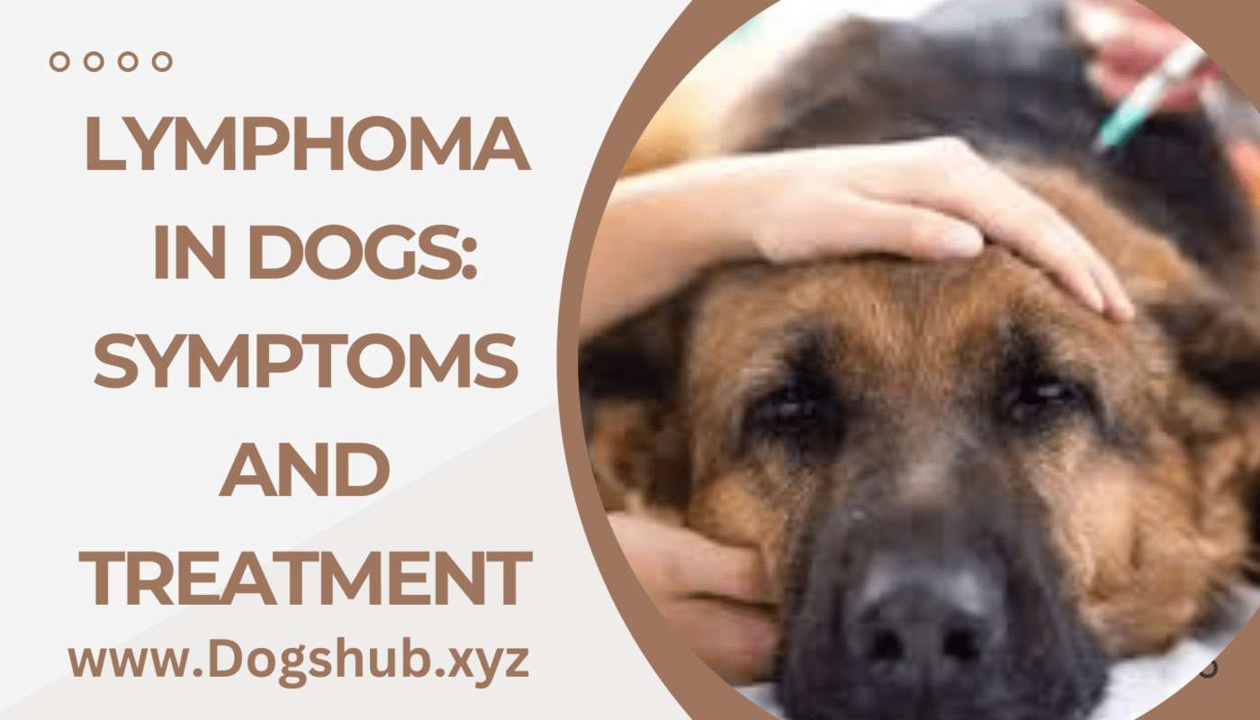 Lymphoma in Dogs: Symptoms and Treatment