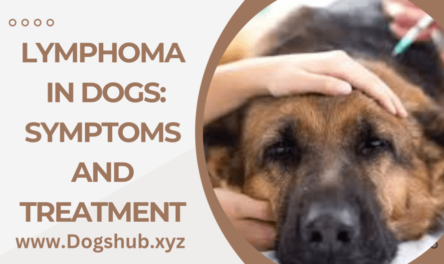 Lymphoma in Dogs: Symptoms and Treatment