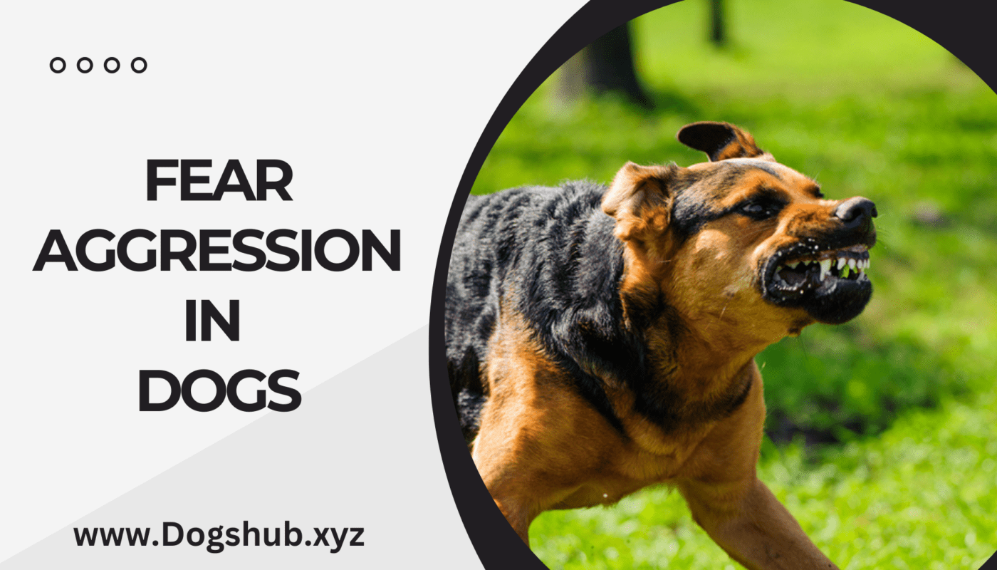 Fear Aggression in Dogs