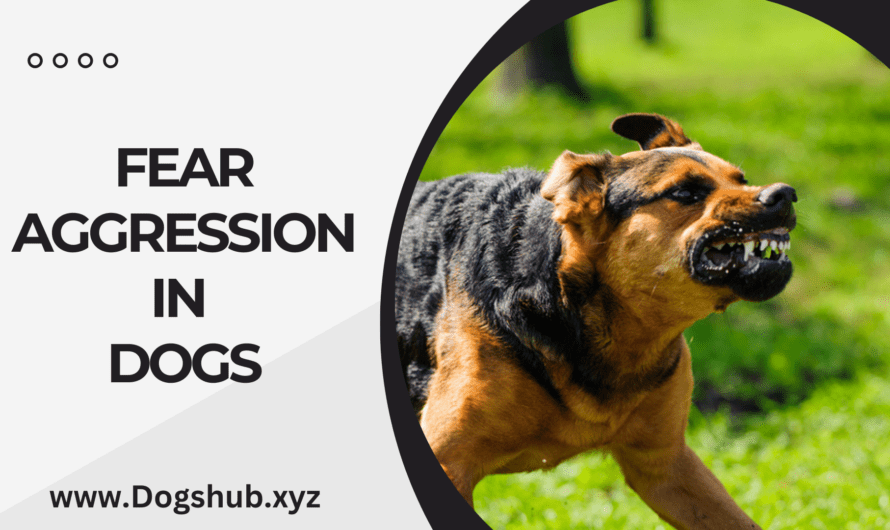 Fear Aggression in Dogs