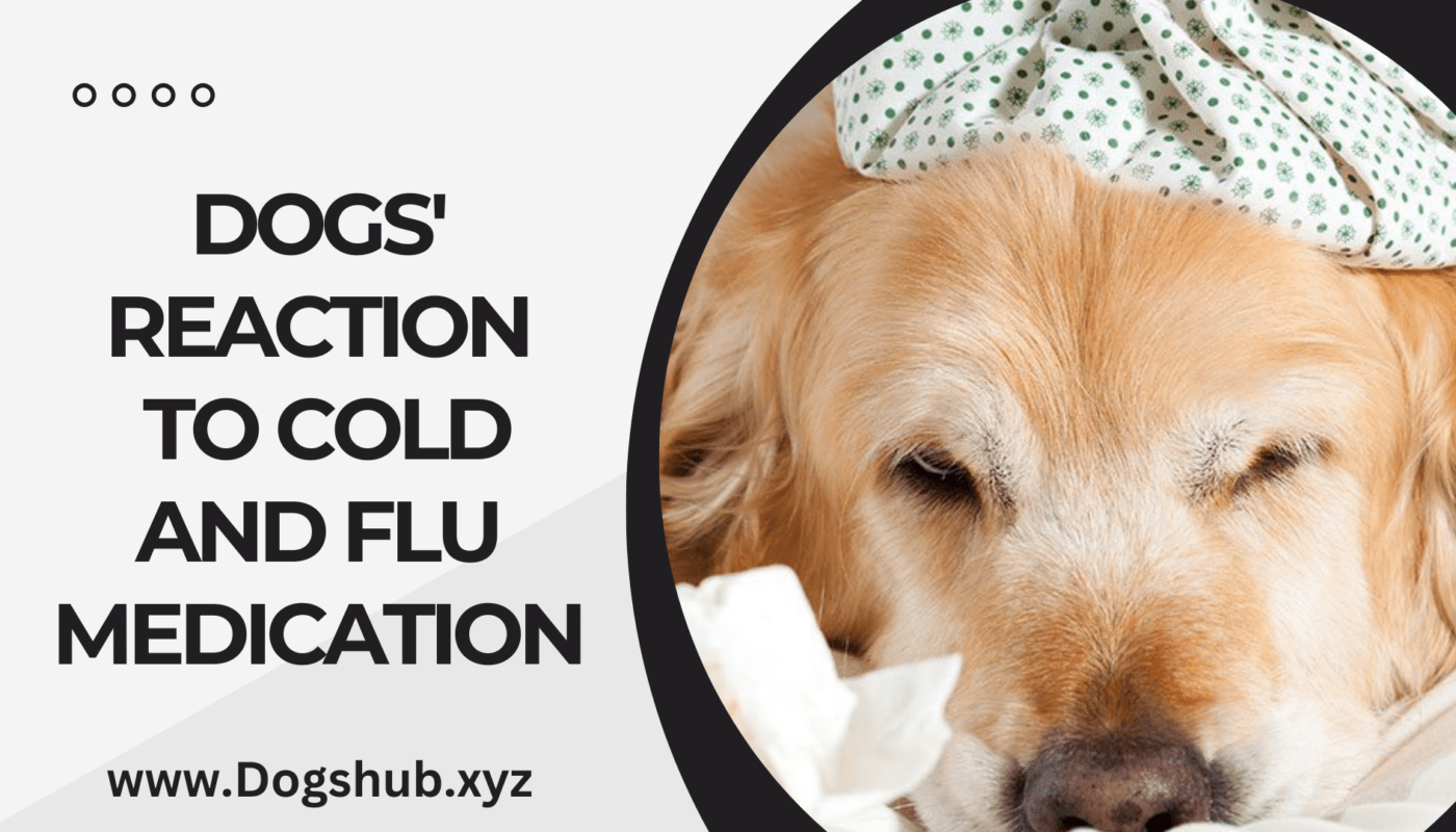 Dogs' Reaction to Cold and Flu Medication