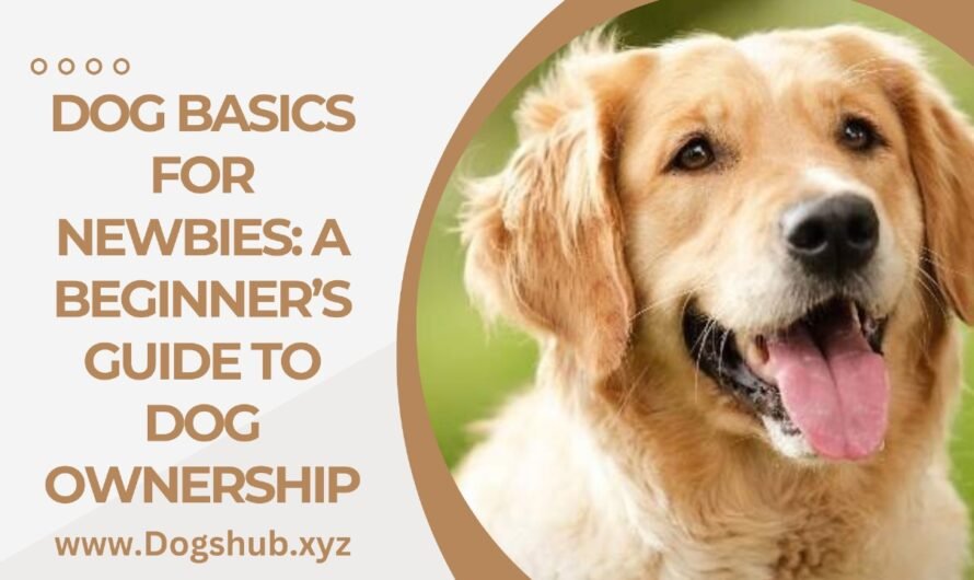 Dog Basics for Newbies: A Beginner’s Guide to Dog Ownership