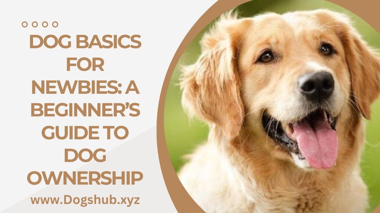 Dog Basics for Newbies: A Beginner’s Guide to Dog Ownership