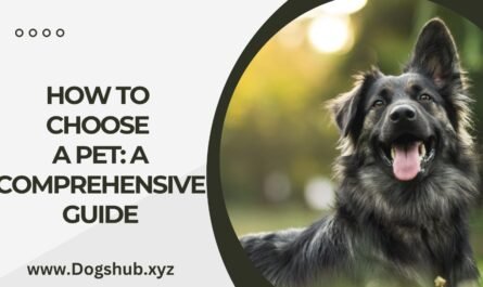 How to Choose a Pet: A Comprehensive Guide