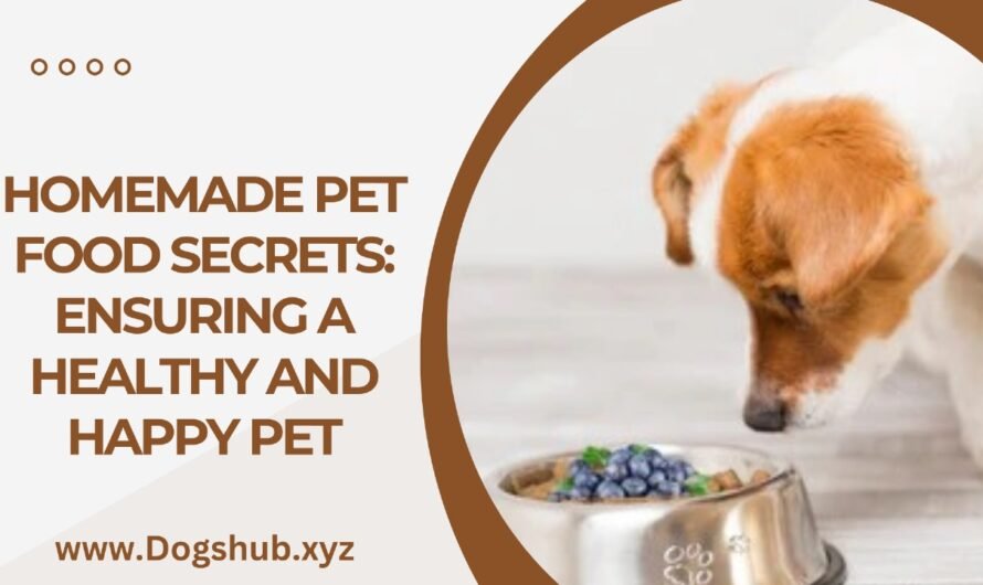 Homemade Pet Food Secrets: Ensuring a Healthy and Happy Pet