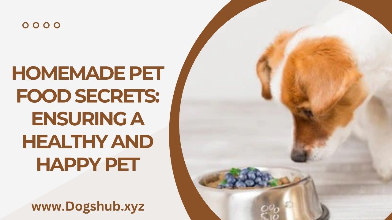 Homemade Pet Food Secrets: Ensuring a Healthy and Happy Pet