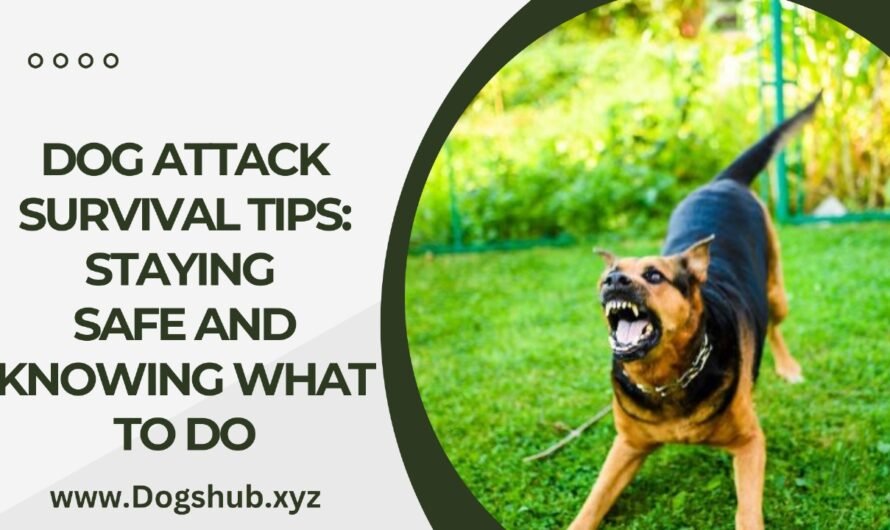 Dog Attack Survival Tips: Staying Safe and Knowing What to Do