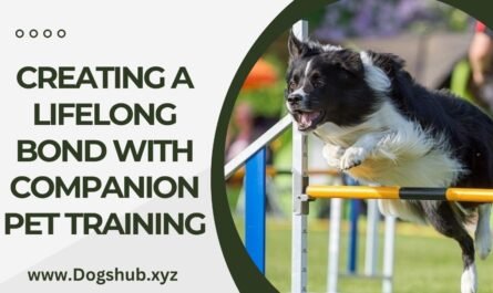 Creating a Lifelong Bond with Companion Pet Training