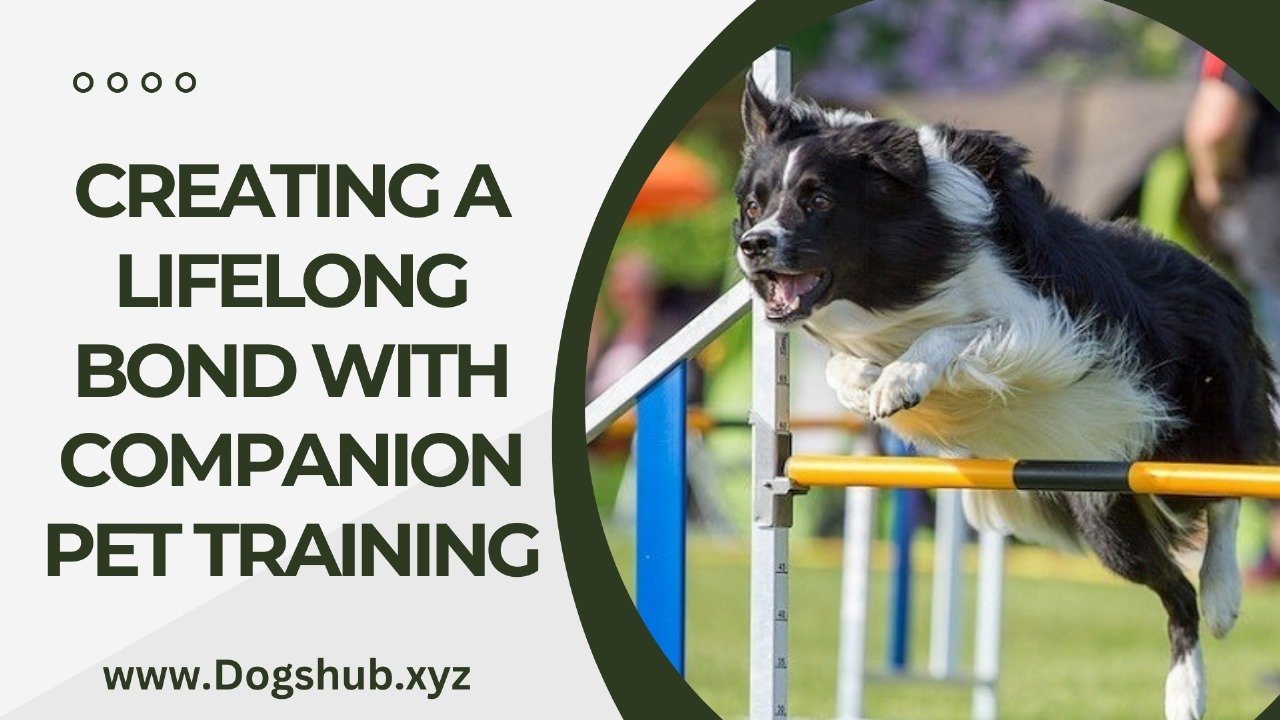 Creating a Lifelong Bond with Companion Pet Training