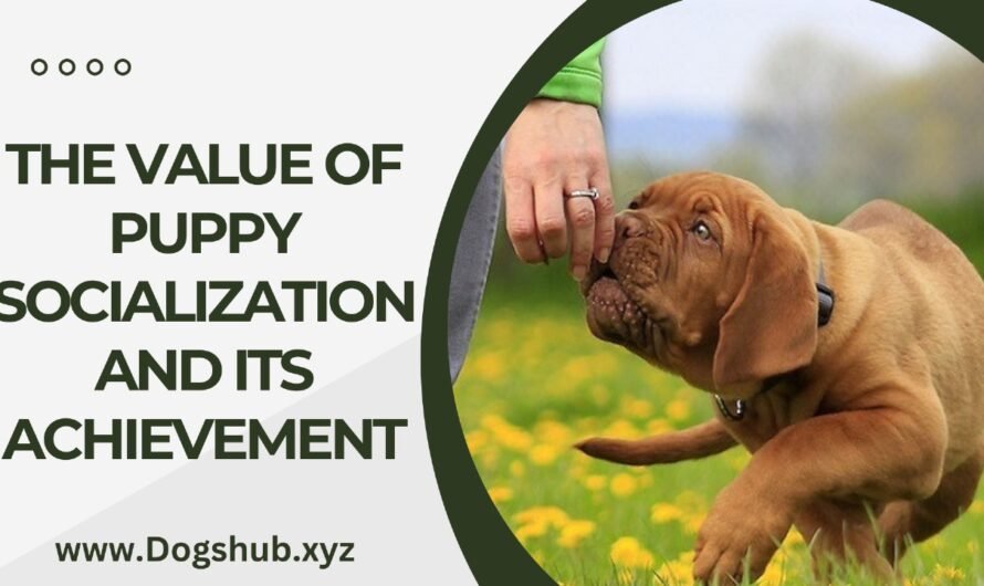 THE VALUE OF PUPPY SOCIALIZATION AND ITS ACHIEVEMENT