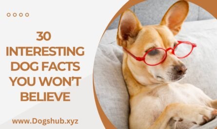 30 Interesting Dog Facts You Won’t Believe