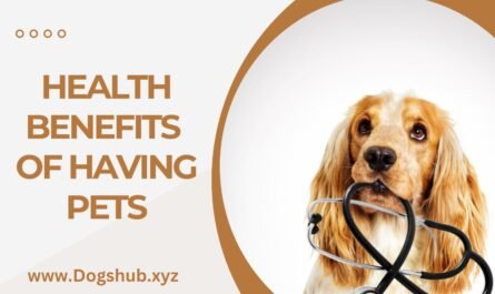 HEALTH BENEFITS OF HAVING PETS