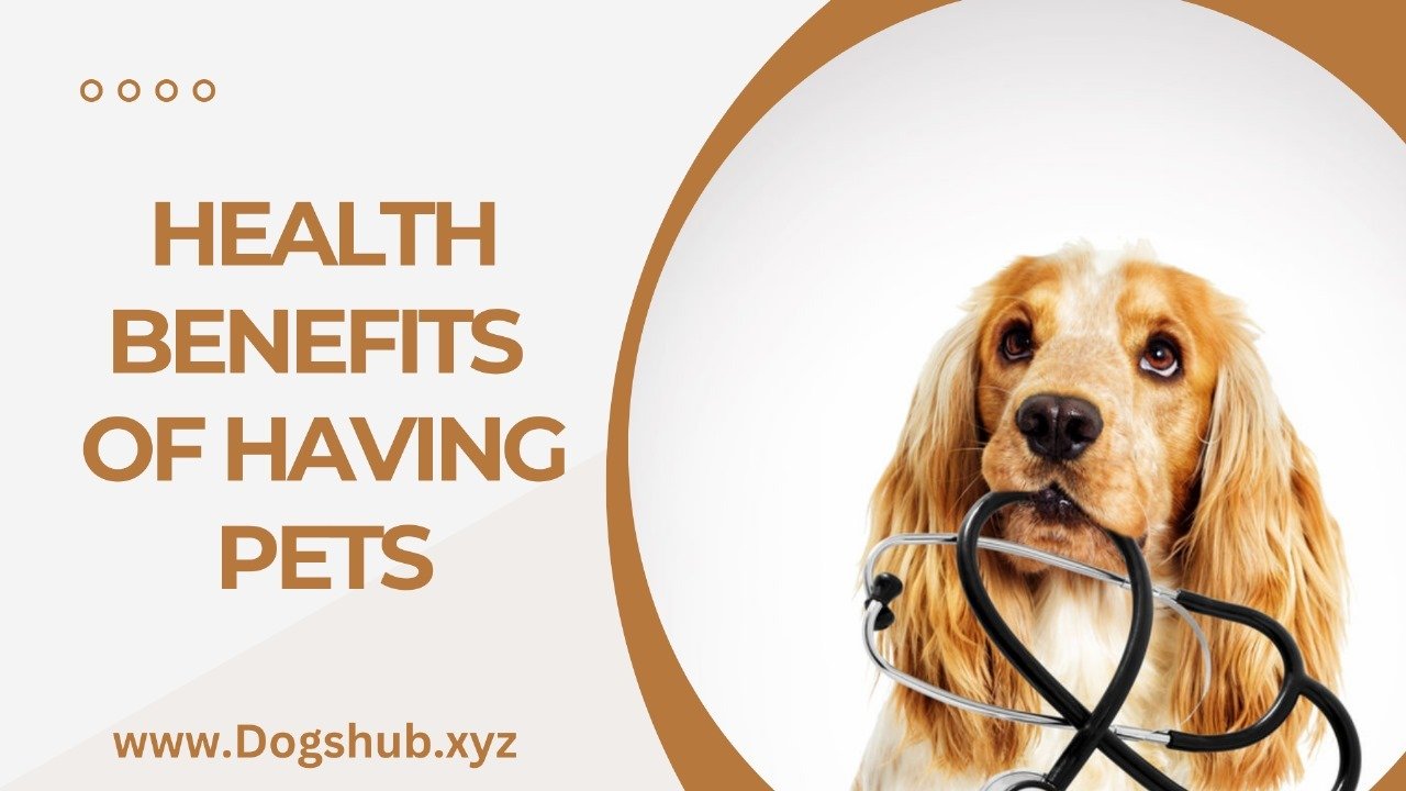 HEALTH BENEFITS OF HAVING PETS